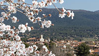 Balade en famille autour de Balade ludique familial dans Le Beausset dans le 83 - Var